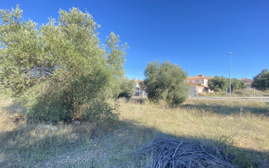 TERRENO EN VENTA EN LOS CIGARRALES-LA BASTIDA