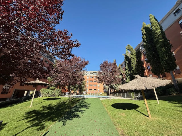 AVD FRANCIA TOLEDO (1)