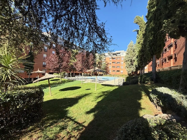 AVD FRANCIA TOLEDO (2)