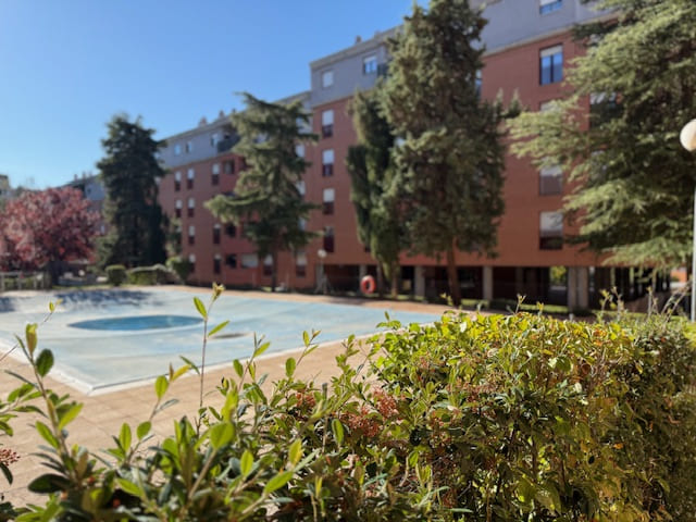 AVD FRANCIA TOLEDO (3)