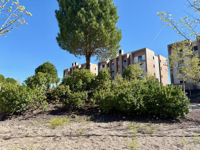 alquiler_doctor_francisco_toledo (8)